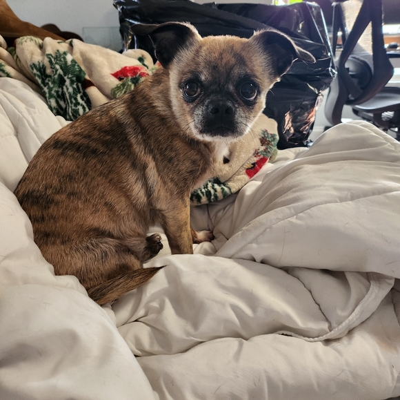 Meet your Posher, Malinda - Picture 5 of 6